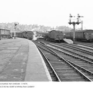 CHA0190