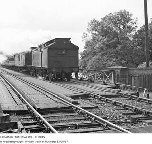 CHA0195