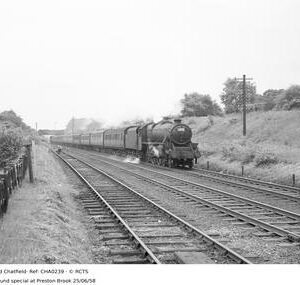CHA0239