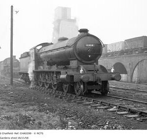 CHA0299
