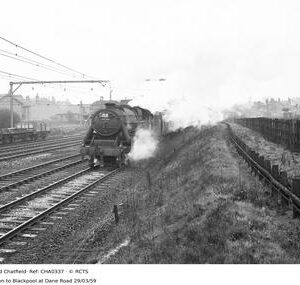 CHA0337