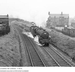 CHA0341