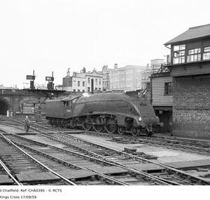 CHA0395