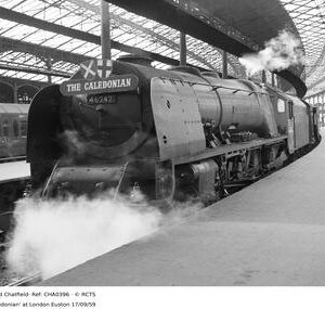 CHA0396