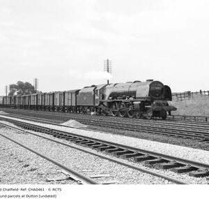 CHA0461