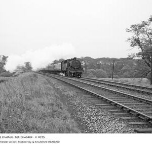 CHA0484