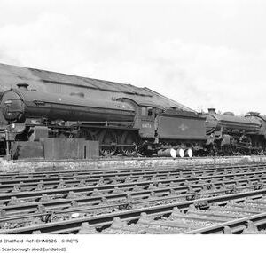 CHA0526