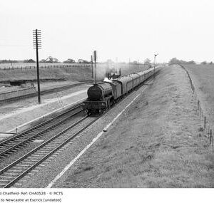 CHA0528