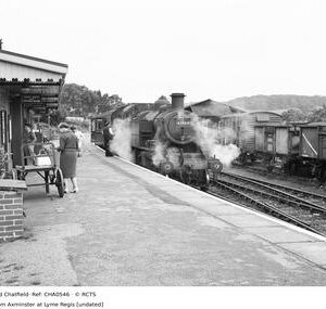 CHA0546