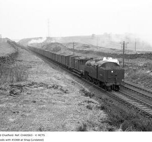 CHA0563
