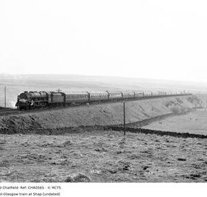 CHA0565