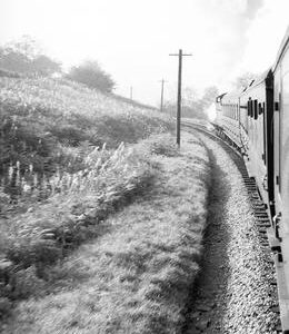 CHA0593