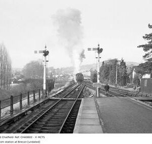 CHA0602