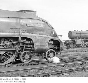 CHA0611