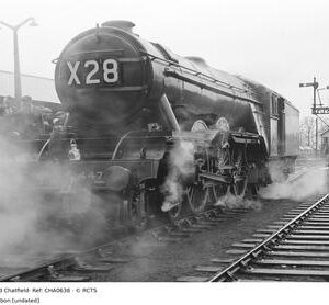 CHA0638