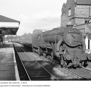 CHA0736