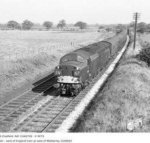 CHA0739