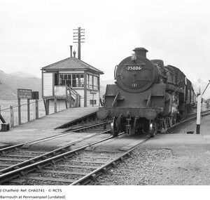 CHA0741