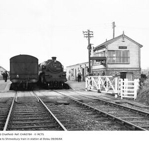 CHA0784