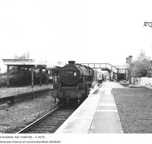 CHA0785
