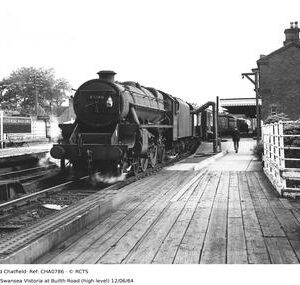 CHA0786