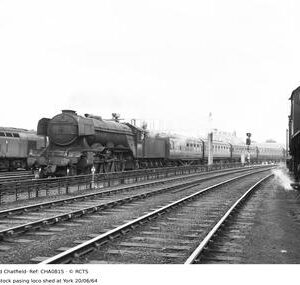 CHA0815