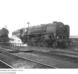 CHA0816
