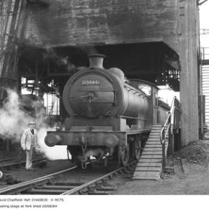 CHA0818
