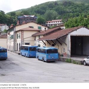CHA1519