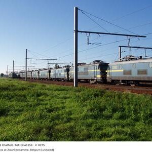 CHA1559