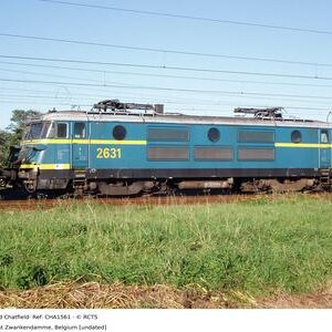 CHA1561