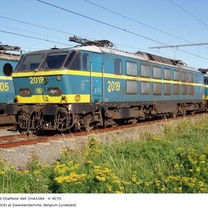 CHA1564