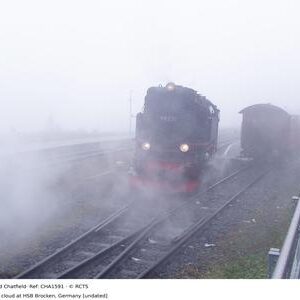 CHA1591