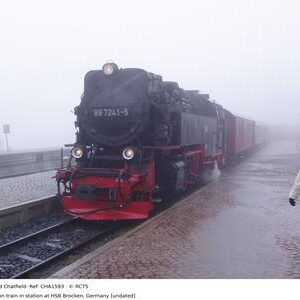 CHA1593