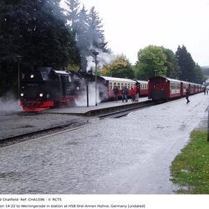 CHA1596