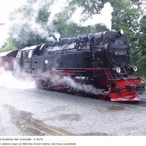 CHA1598