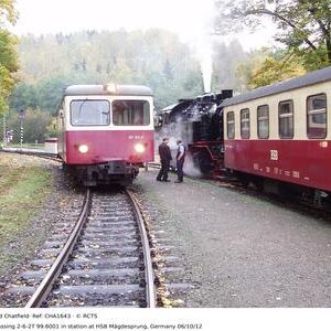 CHA1643