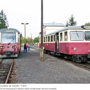 CHA1647
