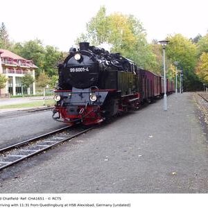 CHA1651
