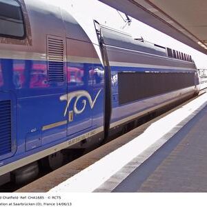 CHA1685