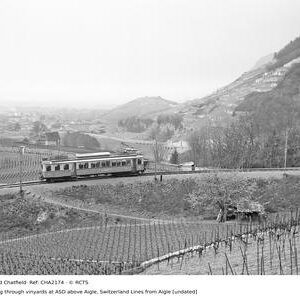 CHA2174