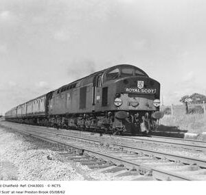 CHA3001
