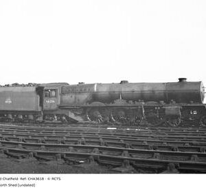 CHA3618