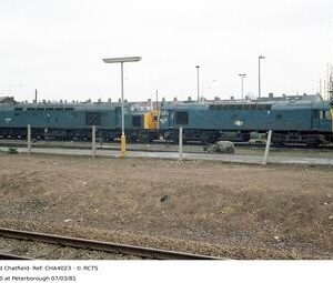 CHA4023