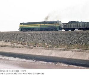 CHA4036