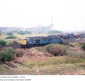 CHA4509