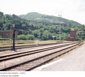 CHA4557