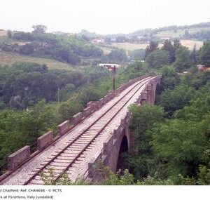 CHA4698