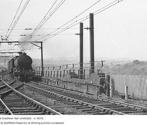 CHA5503
