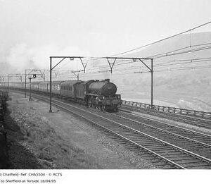 CHA5504
